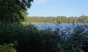 Strand Zeesener See, Foto: Petra Förster, Lizenz: Tourismusverband Dahme-Seenland e.V.