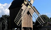 Bockwindmühle Fürstlich Drehna, Foto: Peter Fischer