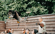 Flugshow auf dem Adler- und Jagdfalkenhof Werchow., Foto: www.spreewald.de / Lena Tschuikow, Lizenz: www.spreewald.de / Lena Tschuikow