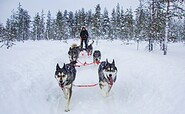 Anuschka Dinter Mathei mit einem Hundeschlitten, Foto: Anuschka Dinter Mathei, Lizenz: Art &amp; Adventure GmbH