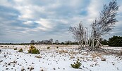 Winter Wildnisgebiet Jüterbog, Foto: (i.A SNLB) Dr. Tilo Geisel, Lizenz: (i.A. SNLB) Dr. Tilo Geisel