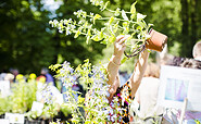 Gartenfestival Park &amp; Schloss Branitz, Foto: Florian Bröcker, Lizenz: Florian Bröcker
