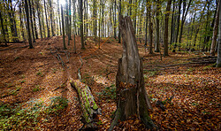 RangerTour: Abenteuerexpedition im Naturpark am World Ranger Day