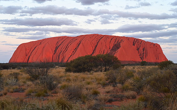 Australien for Beginners - Die Ausstellung