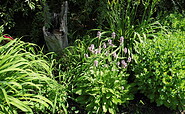 Stauden- und Kräutergarten, Foto: Ute Bernhardt, Lizenz: Ute Bernhardt