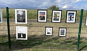 Auswahl Atelier, Foto: Niclas Baronsky, Lizenz: Niclas Baronsky