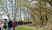 Wandergruppe, Foto: Sandra Fonarob, Lizenz: Tourismusverband Dahme-Seenland e.V.