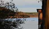 Riebener See mit Bohlensteg, Foto: Peter Koch, Lizenz: Landschafts-Förderverein Nuthe-Nieplitz-Niederung e.V.