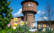 Wasserturm am GLEIS 3, Foto: Leon Kopsch