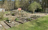 Lehmann-Garten Templin, Foto: Alena Lampe