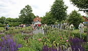 Bioland Rosenschule Uckermark, Foto: Alena Lampe