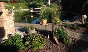 Garten Doreen Weiske Zützen, Foto: Doreen Weiske