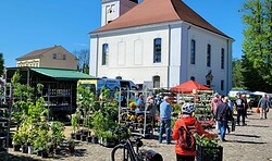 Altlandsberger Frischemarkt