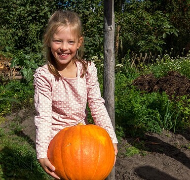 Herbstliche Kreativwerkstatt für Kinder