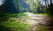 Waldapotheke, Foto: Denise Rose, Lizenz: Denise Rose