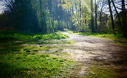 Waldapotheke, Foto: Denise Rose, Lizenz: Denise Rose
