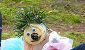 Kinder-Kräuterspaß - ein Workshop für & mit Kindern, Foto: Denise Rose, Lizenz: Denise Rose