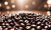Bild von Ekletia auf Pixabay, Foto: Bild von Ekletia auf Pixabay, Lizenz: Bild von Ekletia auf Pixabay