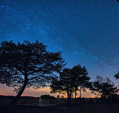 Wildnis bei Nacht