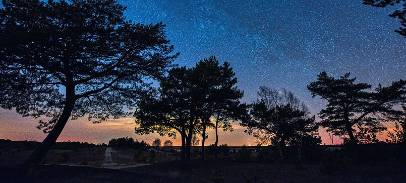 Wildnis bei Nacht