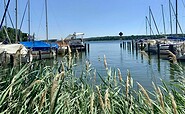 Festwiese Hafen, Foto: Tourismusverein Scharmützelsee, Lizenz: Tourismusverein Scharmützelsee