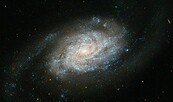 Die schönsten Sternbilder des Frühlings, Foto: NASA