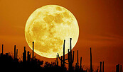 Late-Night-Show, Quelle: NASA, Foto: NASA, Lizenz: NASA