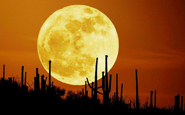 Late-Night-Show, Quelle: NASA, Foto: NASA, Lizenz: NASA