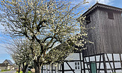 Schul- und Bethaus Wuschewier, Foto: Julia Vogel, Lizenz: Julia Vogel