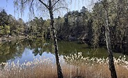 Die Natur erwacht, Foto: Ute Bernhardt, Lizenz: Ute Bernhardt