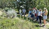 Wildbienenbestimmungskurs Wanninchen 2023, Foto: Anne Donath, Lizenz: Sielmanns Naturlandschaft Wanninchen