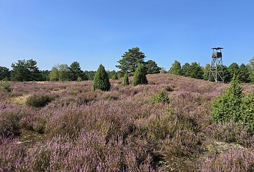 RangerTour: Tour durch die Massower Heide