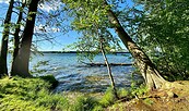 Webellinsee, Foto: Uwe Martens, Lizenz: Amt Joachimsthal(Schorfheide)