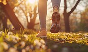 Walking, Foto: Vilkasss, Lizenz: Vilkasss/Pixabay