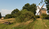 Tour 03_Borner Bockwindmühle, Foto: Steffen Bohl, Lizenz: Steffen Bohl