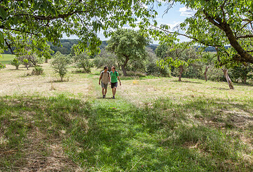 ErlebnisTour: Rangertour zu den Streuobstwiesen zwischen den Bergen