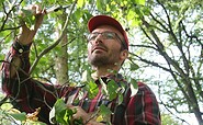Obstbaumschnitt, Foto: unbekannt, Lizenz: Matthias Bartsch