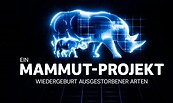 Filmplakat, Foto: Ökofilmtour, Lizenz: Ökofilmtour