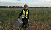 Milan sucht die Wiese nach Rehkitzen ab, Foto: Dirk Heuer