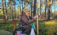 Wildkatzenmonitoring, Foto: Carsten Preuß, Lizenz: NP Dahme-Heideseen