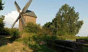 Borner Mühle, Foto: Steffen Bohl