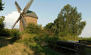 Borner Mühle, Foto: Steffen Bohl