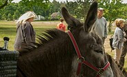 Eselwanderung, Foto: Steffen Bohl