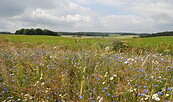 Landschaft im Naturpark Hoher Fläming, Foto: Steffen Bohl, Lizenz: Steffen Bohl