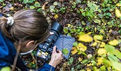 Fotokurs, Foto: seezeit- resort, Lizenz: seezeit-resort