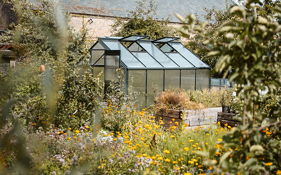 Garten-Workshop: Permakultur in Aktion – Theorie, Praxis und Natur im Einklang