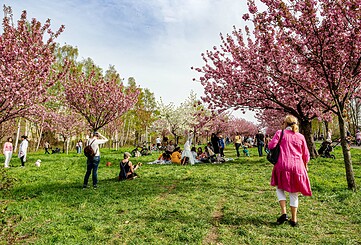 Pilger-Wanderung auf den Spuren der Frühlingsblüte