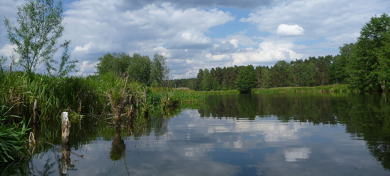 Im Fluss der Dahme -  Kanutour durch ein Seeadlerrevier