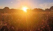 Sonnenaufgang am Feld, Foto: Patryzia Palischewski, Lizenz: Sielmanns Naturlandschaft Wanninchen
