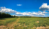 Landschaft, Foto: Michael Mattke, Lizenz: Amt Joachimsthal(Schorfheide)